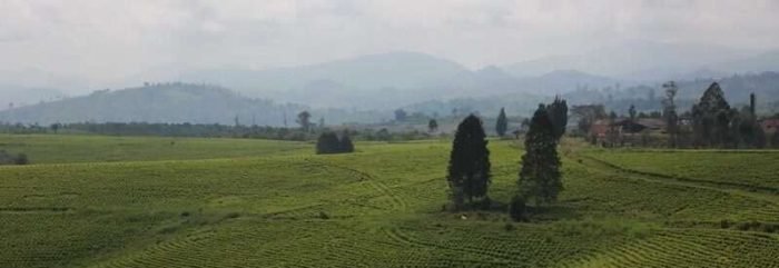 17196289175_72cbba8677_c